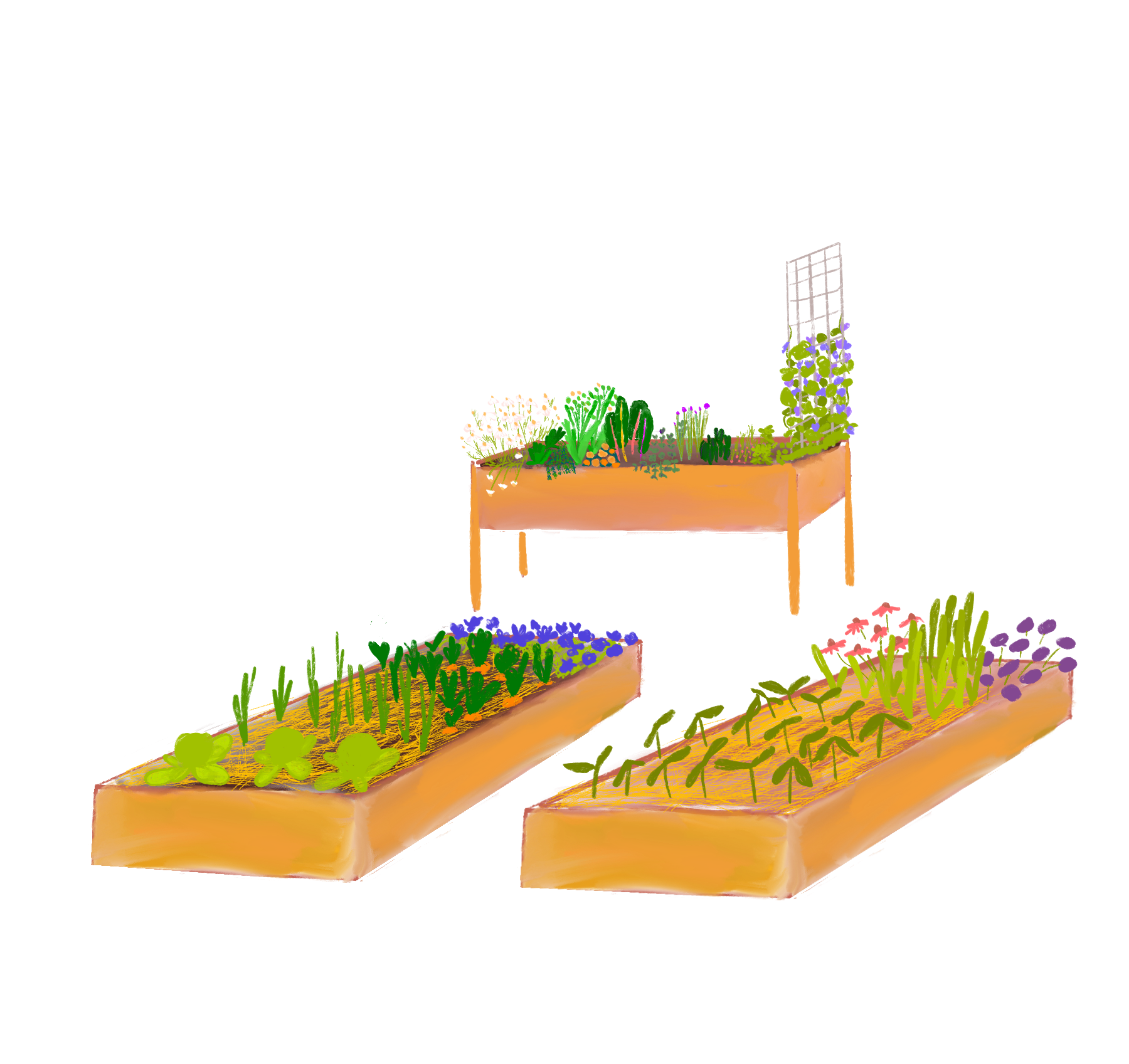 5 best sustainable + nontoxic raised beds (top picks for 2023)